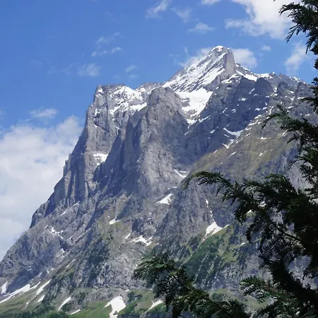 アルペンブリック 3*