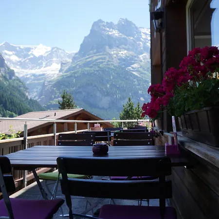 Alpenblick Inn 3*