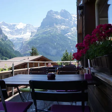 Alpenblick Mini-hôtel 3*