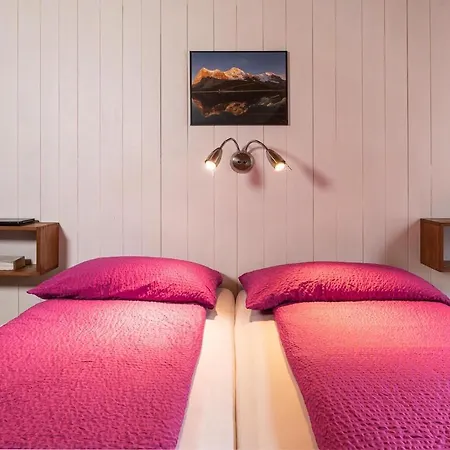 Alpenblick Mini-hôtel 3*