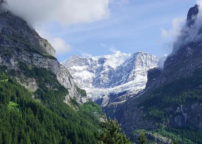 אורחן Alpenblick