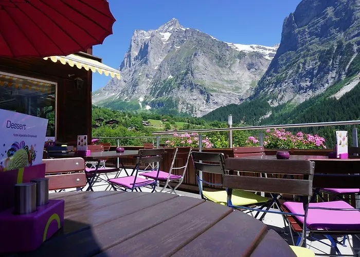 알펜블릭 3* 그린델발트