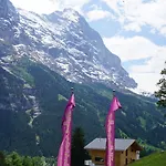 Penzion Alpenblick 3*